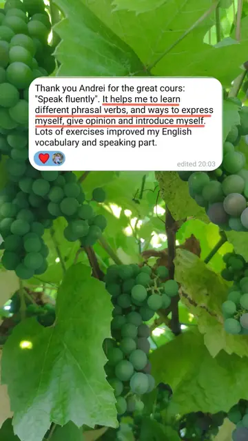 Thank you Andrei for the great course "Speak fluently". It helps me to learn different phrasal verbs, and ways to express myself, give opinion and introduce myself. Lots of exercises improved my English vocabulary and speaking part.