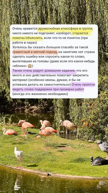 Самые красивые и удивительные птицы и очень интересные подробности! Занятия проходят на позитивной ноте, всегда интересно, материал подается разнообразно.